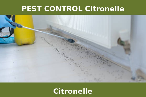 PEST CONTROL Citronelle